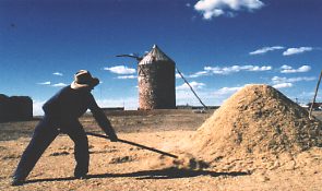 eramolino.jpg (15387 bytes)