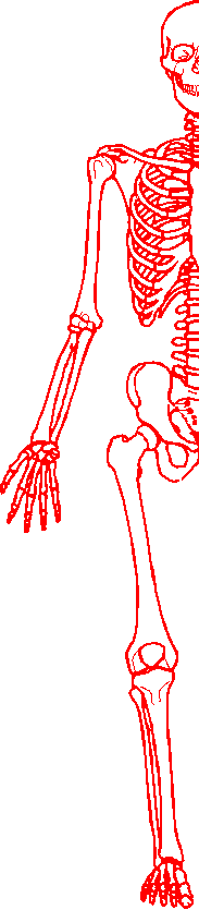 homo1.gif (34725 bytes)