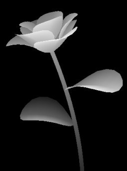 rosa.jpg (8062 bytes)