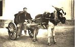 Retrospectiva - Imagenes fotogr�ficas
