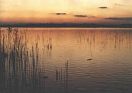 Natura - Imagenes fotogr�ficas