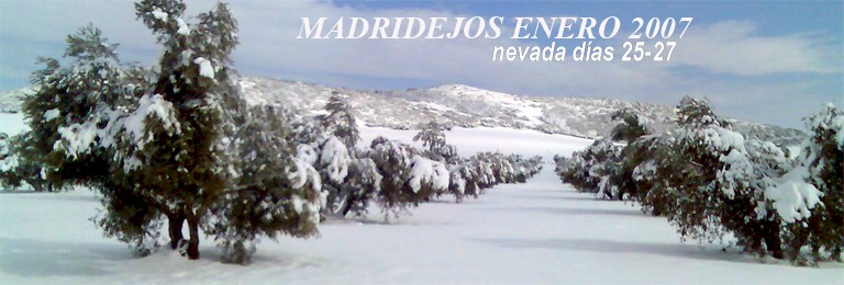 �LBUMES DE FOTOGRAF�AS Y VIDEOS DE LA HIST�RICA NEVADA EN MADRIDEJOS, ANGEL FERNANDEZ, ANTONIO CA�ADILLA, JUAN-ANTONIO G�MEZ, �NGEL-LU�S PRIVADO Y JOS�-MAR�A MORENO