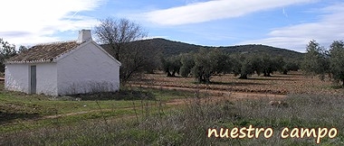 Caminos, Cuartos, Quinter�as, Palomares, Pozos, NUESTRO CAMPO